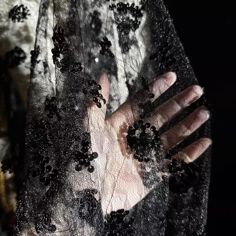 레이스 꽃 자수 스팽글 메쉬 원단 시스루 블랙 치파오  - Embroidery Underlay 리뷰 및 가격