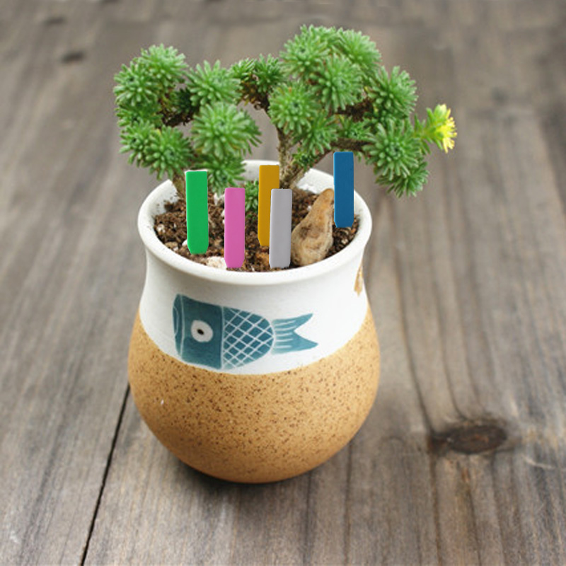 100Pcs 정원 식물 레이블 플라스틱 식물 태그 보육 - Embroidery Garden 리뷰 및 가격